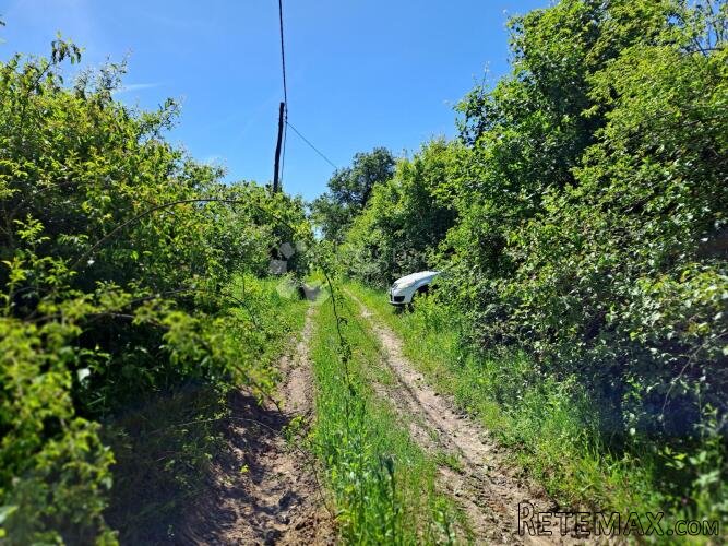 Šumska farma 40 km od Zg - 2
