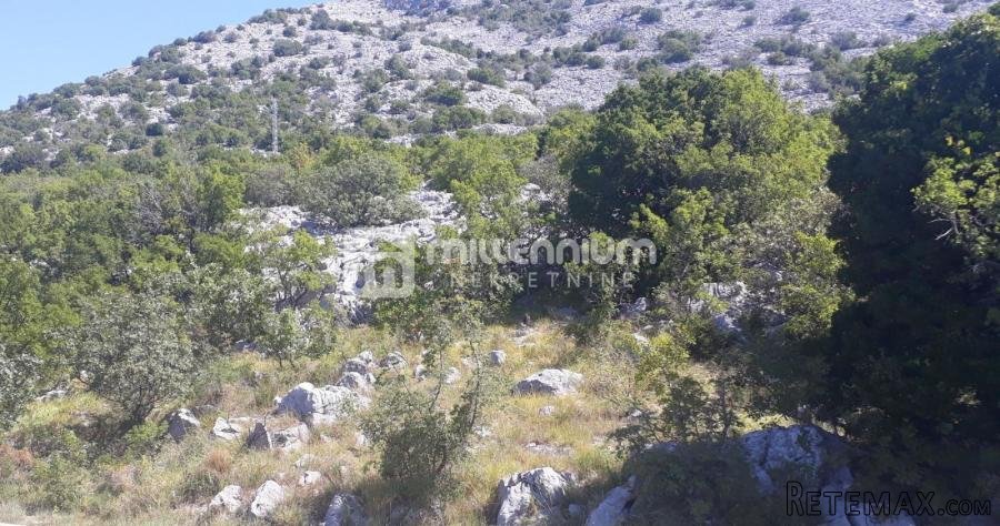 Karlobag, Barić Draga, zemljište 100m od mora - 3