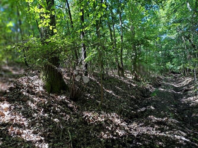 Šumska farma 40 km od Zg - 3