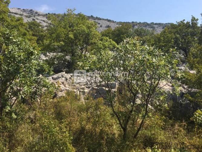Karlobag, Barić Draga, zemljište 100m od mora - 5
