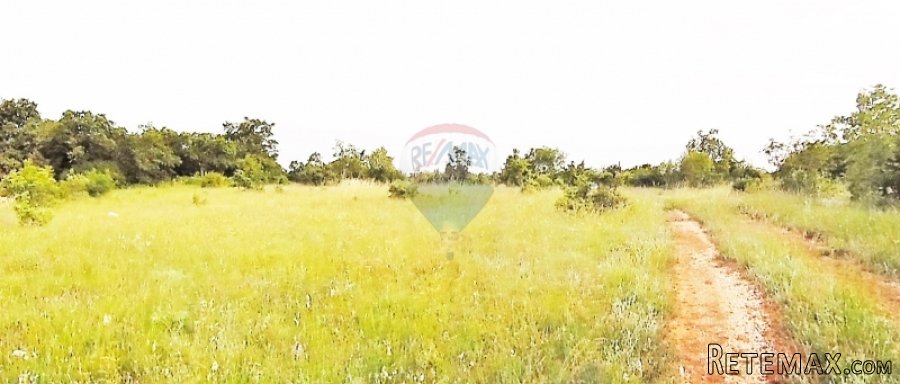 Istra, poljoprivredno zemljište sa idejnim projektom 22289m2 - 2