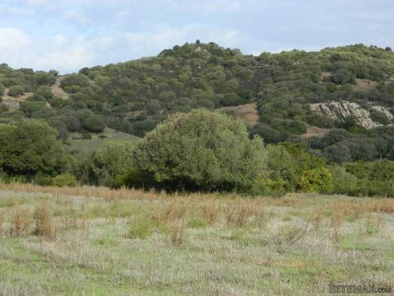 Country land for sale near Arzachena -..