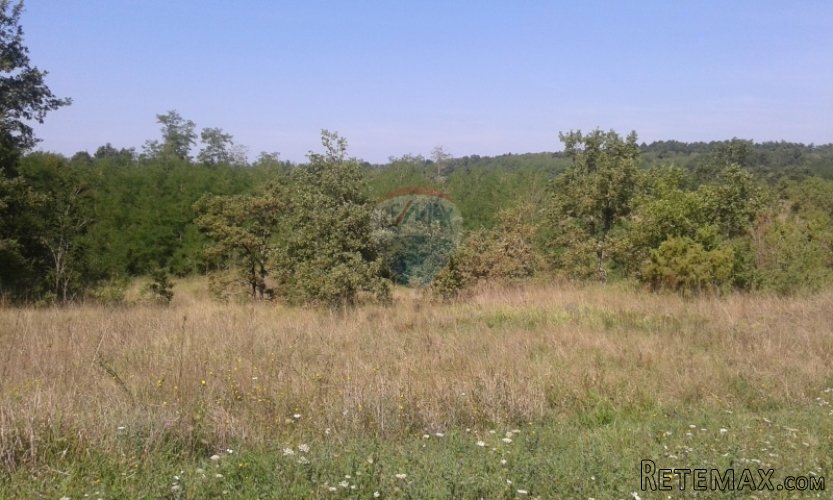 Gračišće, poljoprivredno zemljište u okolici Gračišća - 3