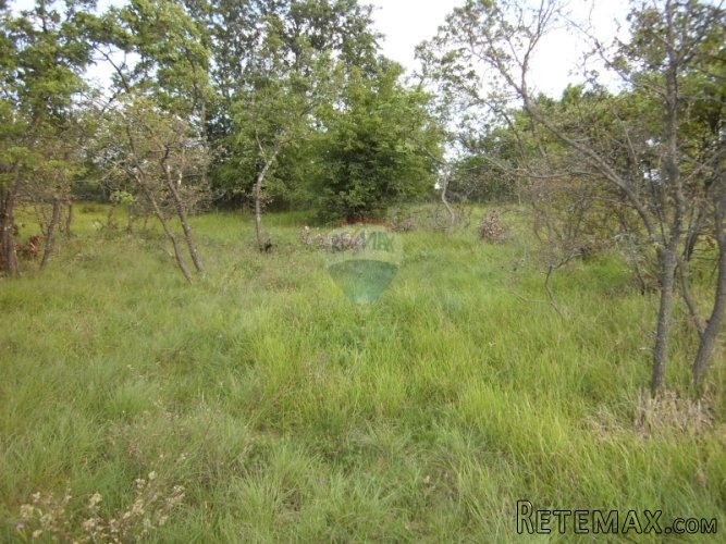 GAJANA, poljoprivredno zemljište od 5240 m2 - 3