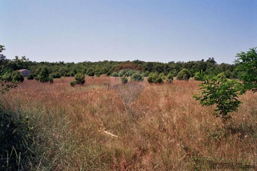 Istra,okolica Rovinja, zemljište 25117m2 - 3