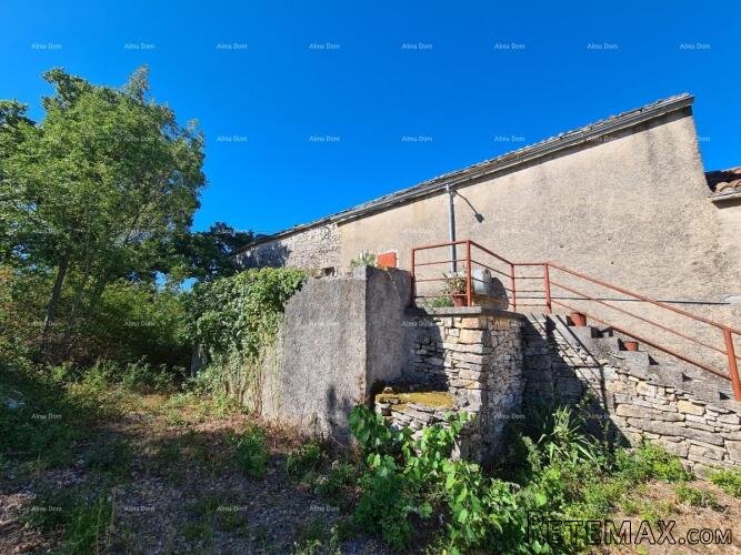 Stancija kod Vodnjana! Veliki teren 7154 M2!! - 3