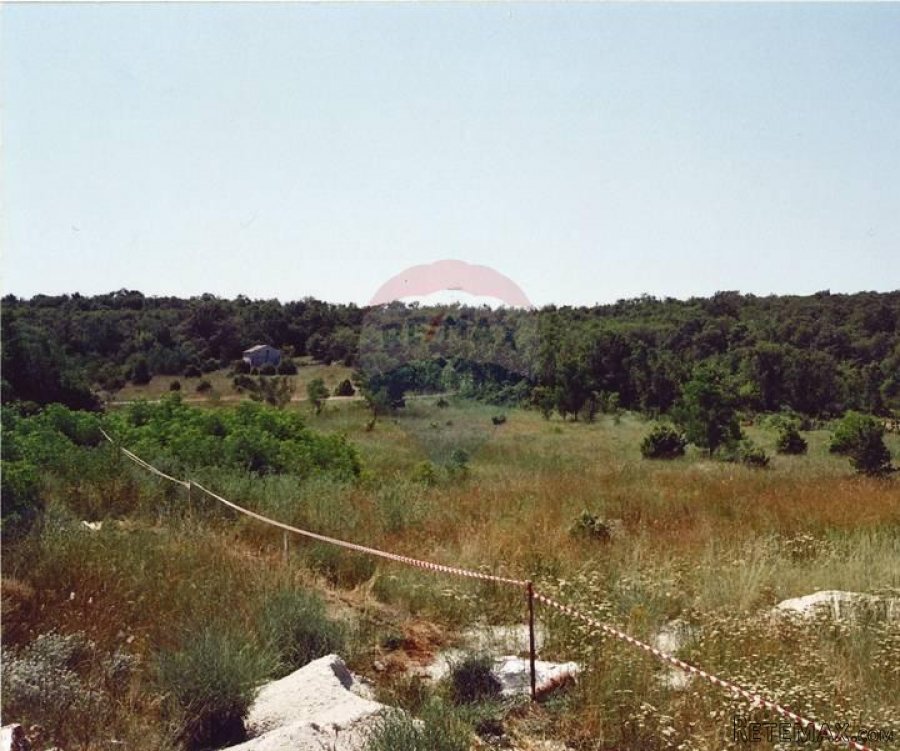 Istra,okolica Rovinja, zemljište 25117m2 - 4