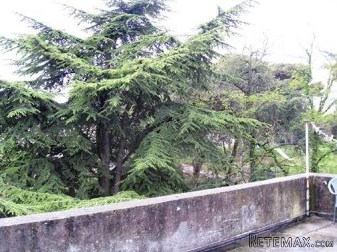 ISTRA, PULA:KUĆA BLIZU CENTRA PULE - 5