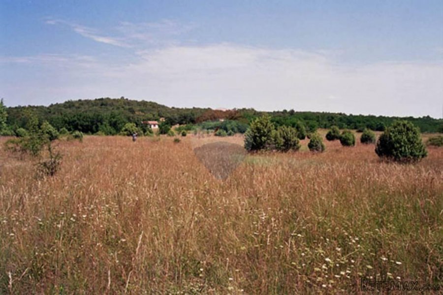 Istra,okolica Rovinja, zemljište 25117m2 - 5
