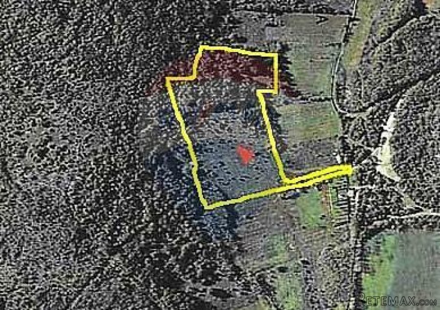 Istra,okolica Rovinja, zemljište 25117m2 - 6