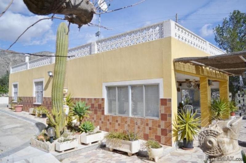 Amazing value (Ref. PV8421)