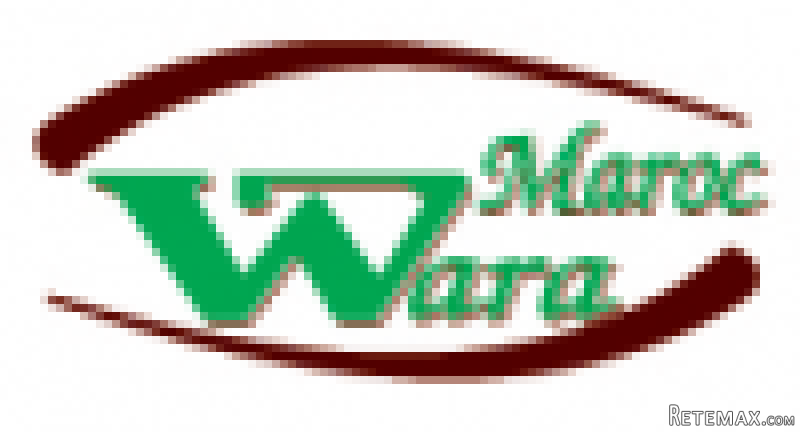 Web Designer