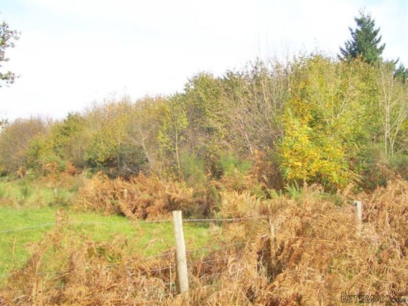 2.9 Ha Of Farming Land In The Charente..