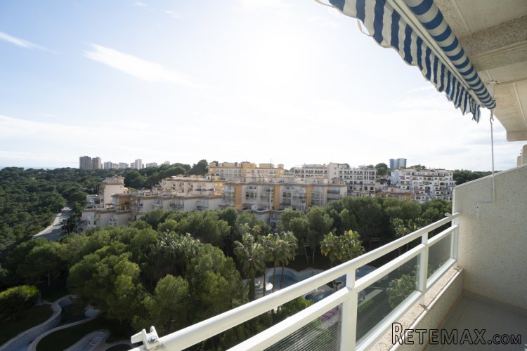 El apartamento se encuentra en Campoamor, cerca están.. - 3