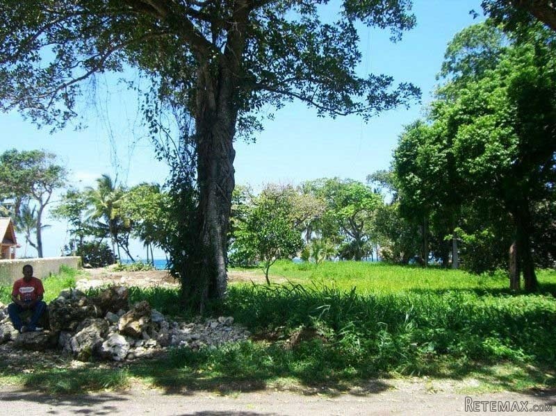 Unique Cabarete Oceanfront Lot In.. - 2