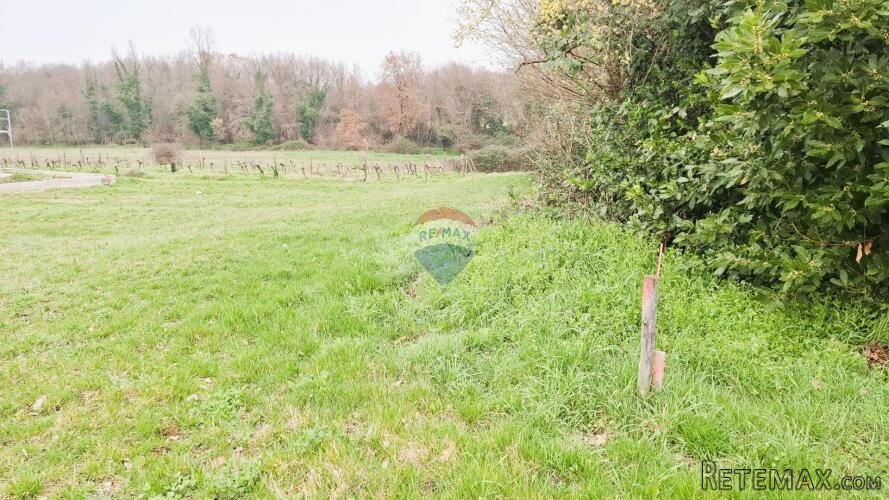 Istra, Brtonigla – Građevinsko zemljište 619 m²
