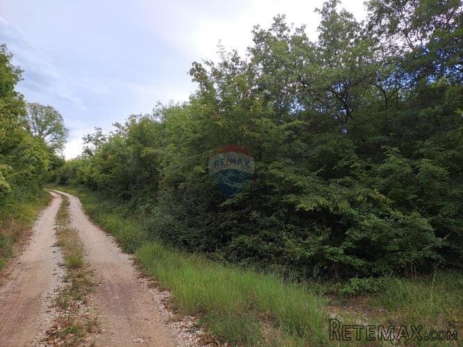 Istra,Korenići 1km od sela,1000m2