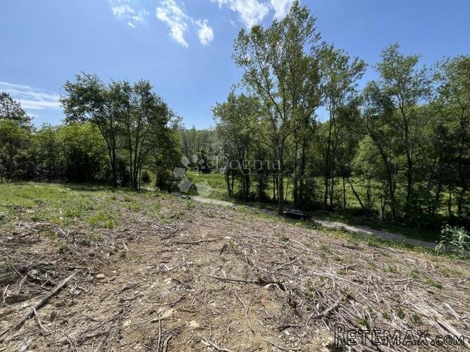 MOTOVUN OKOLICA, ZEMLJIŠTE ZA KAMP (T3) - 3