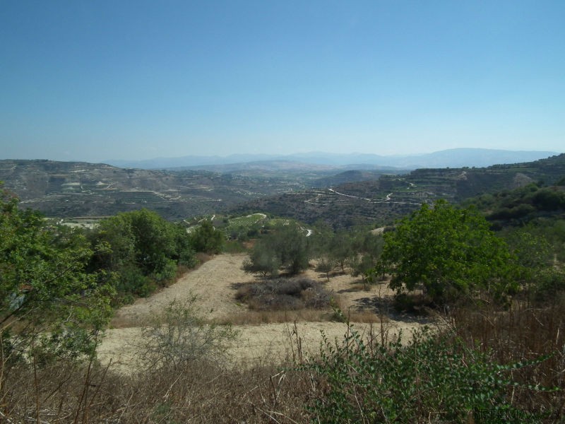 Land - Paphos - For Sale