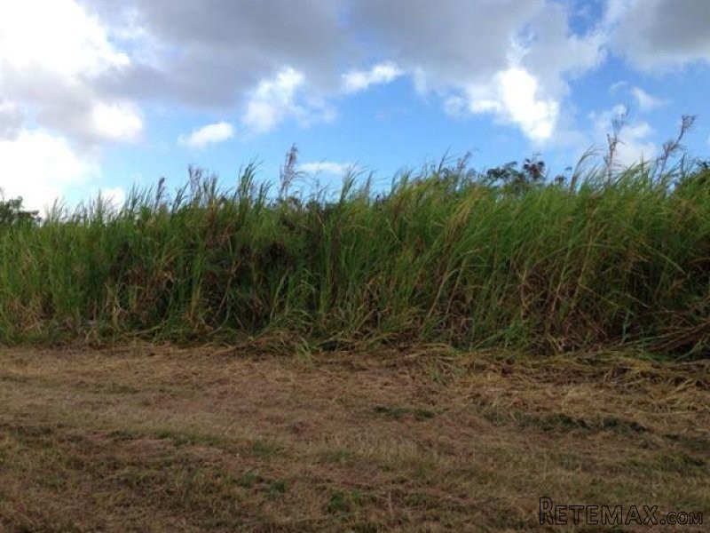 Property For Sale: Frere Pilgrim Lot..