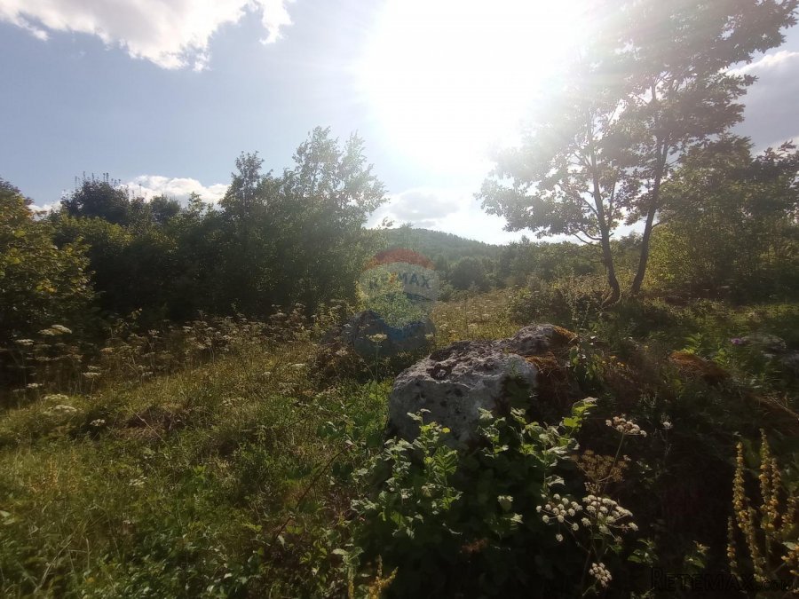 Tounj, građevinsko zemljište 7275 m2 - 5