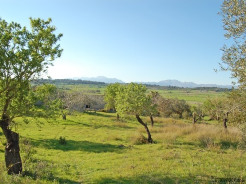 Beautiful Rural Plot In Maria De La.. - 2