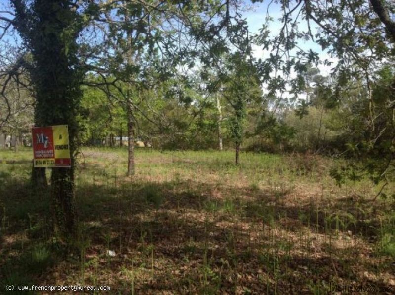 Building land for 3 houses near the..