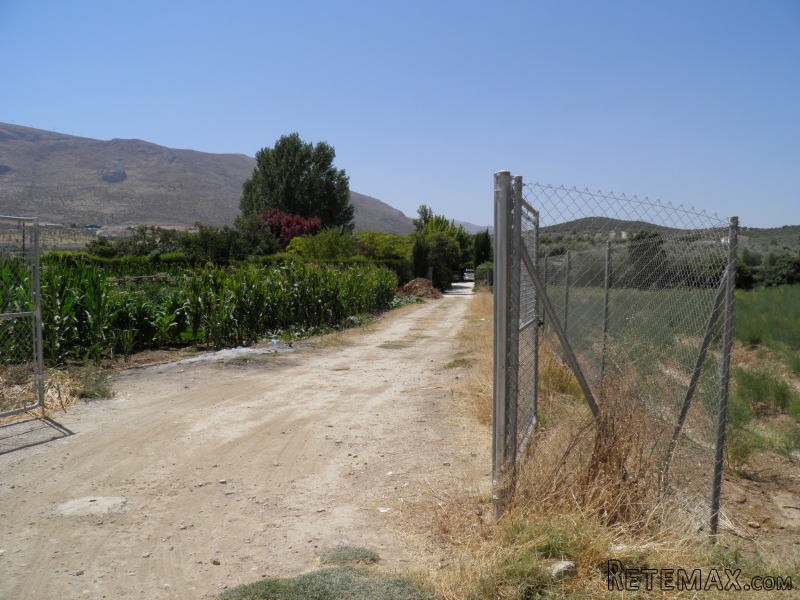 Granada Farm* - 2