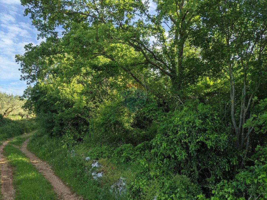 Istra, Rovinjsko Selo - Zemljište s pogledom na more i Rovin - 3