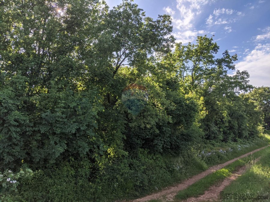 Istra, Rovinjsko Selo - Zemljište s pogledom na more i Rovin - 5