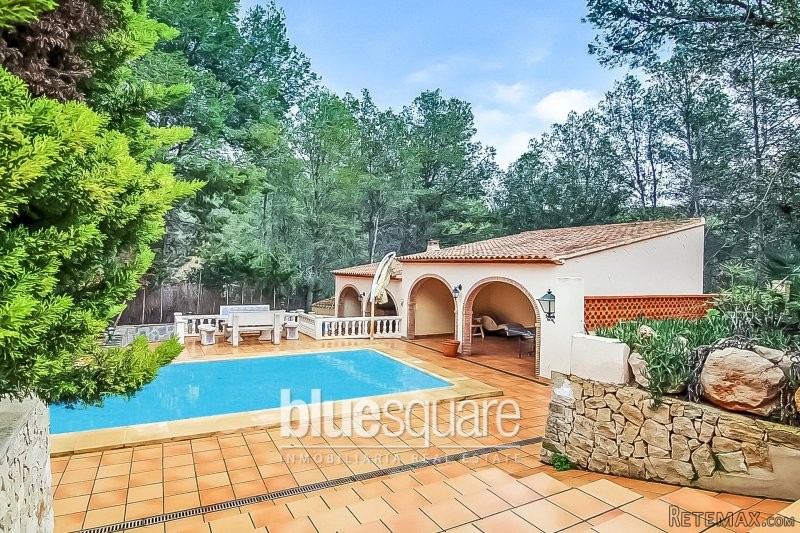 Lovely rustic finca with mountain views