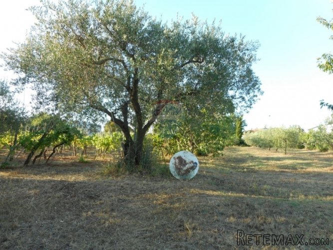 POREČ:4km OD GRADA I NEDALEKO MORA - 2