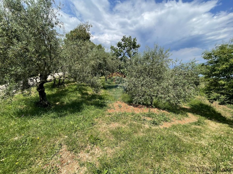 Mošćenice, Dvije Negrađevinske parcele 1600m2 - 2
