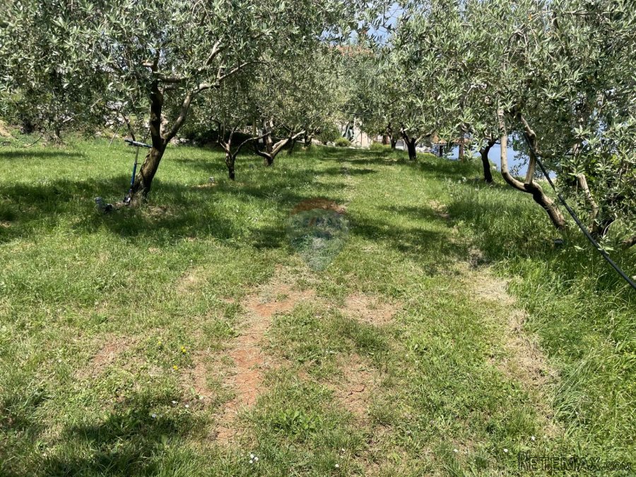 Mošćenice, Dvije Negrađevinske parcele 1600m2 - 3