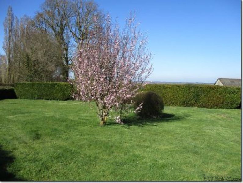 Nice Rural Property with Garden - 2