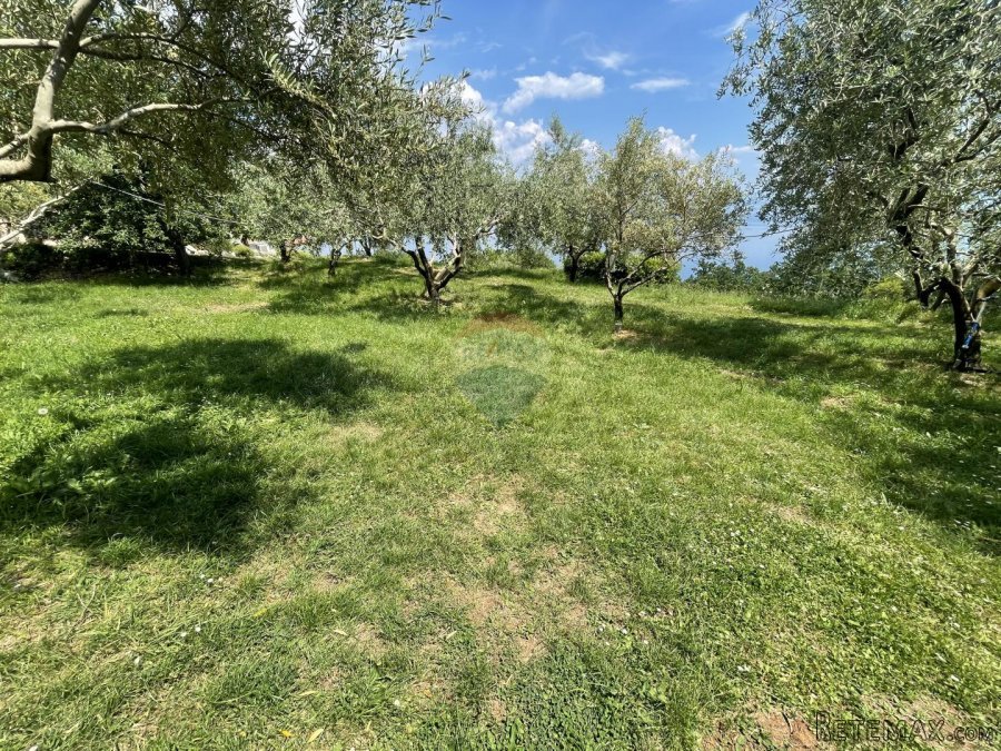 Mošćenice, Dvije Negrađevinske parcele 1600m2 - 4
