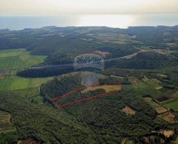 Istra - Novigrad okolica: Moderna luksuzna vila s... - 5