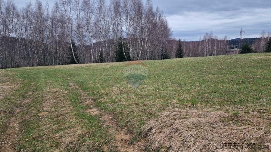 Kupjak-velik polj.teren 30000m2 - 4