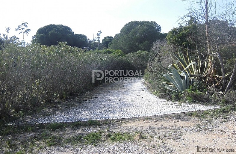 4000m2 Of Land Near Laranjal &.. - 2