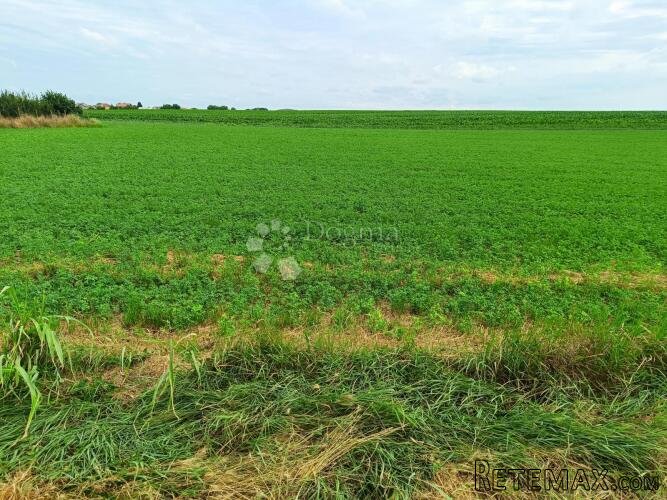 INVESTICIJSKA PRILIKA! Građevinsko zemljište 8.505 m² u Boro