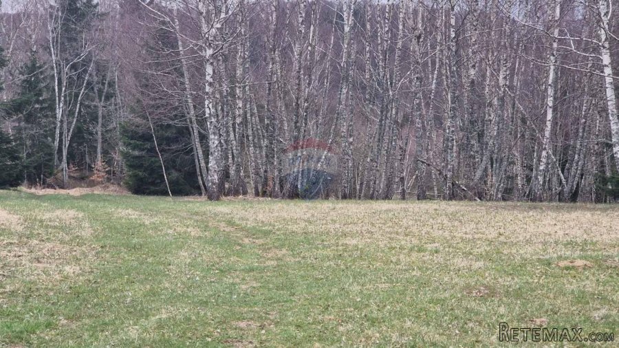 Kupjak-velik polj.teren 30000m2 - 5