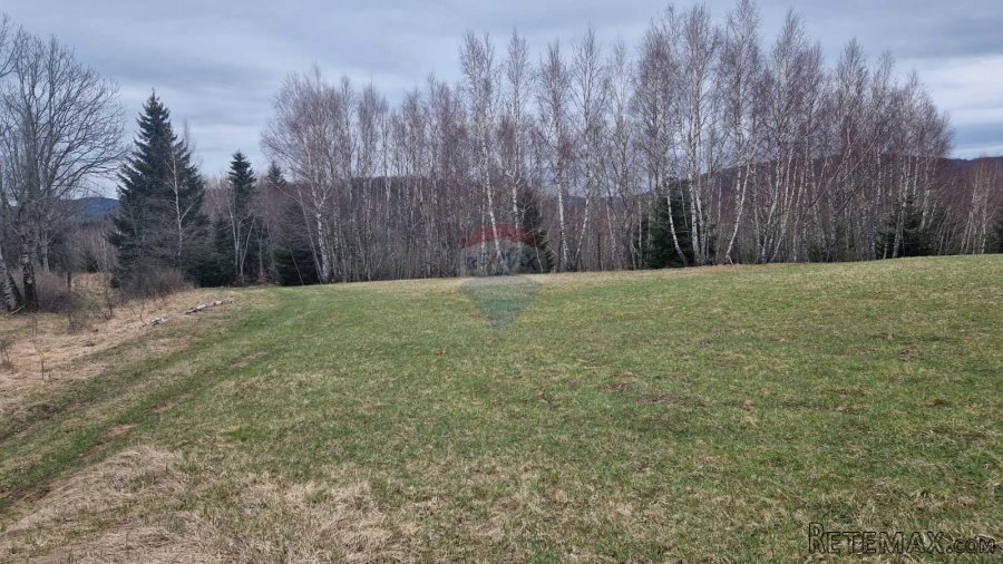 Kupjak-velik polj.teren 30000m2 - 6