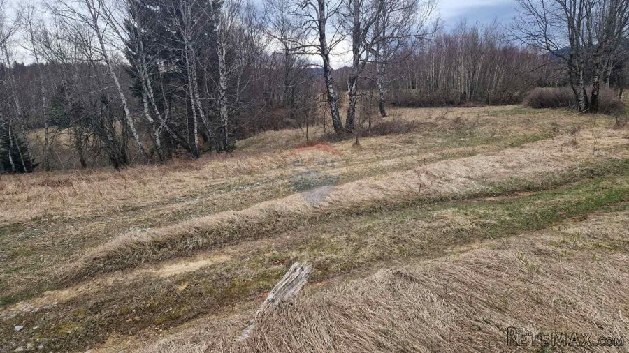 Kupjak-velik polj.teren 30000m2 - 7