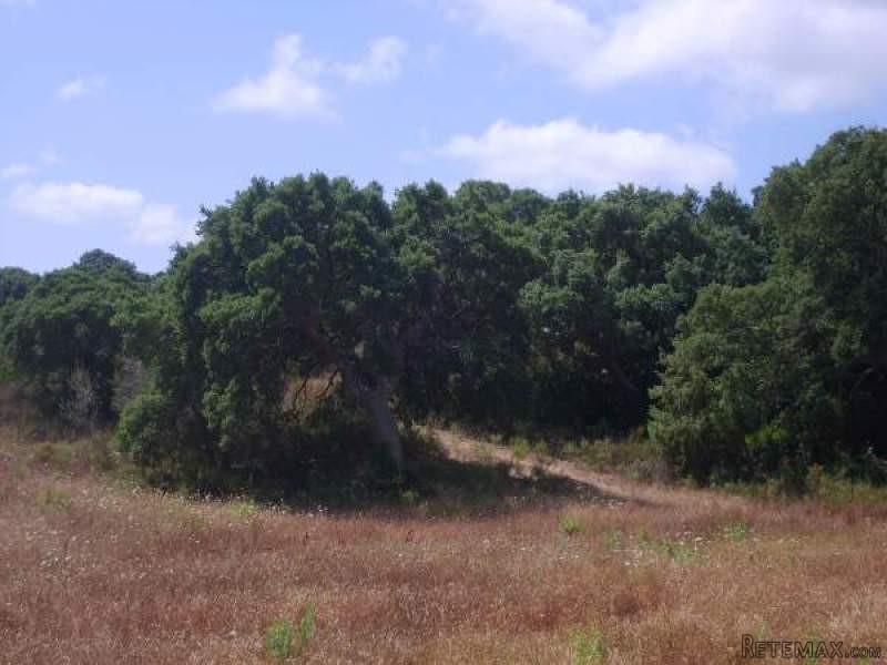 Land sea view for sale in Palau north.. - 2