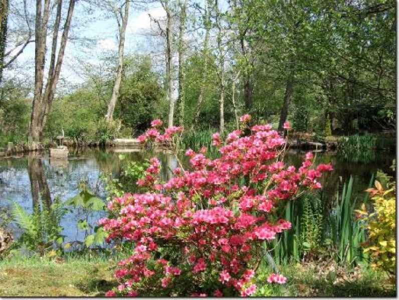Country House with Lake - 2