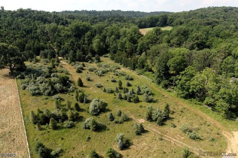 Land For Sale: 59 Willow Ave