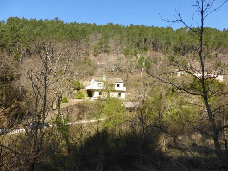 Character House In The Heart Of A Forest