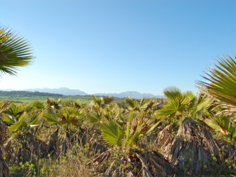 Beautiful Rural Plot In Maria De La..
