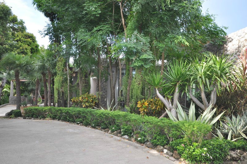 Ocean Front Land For Sale - 2