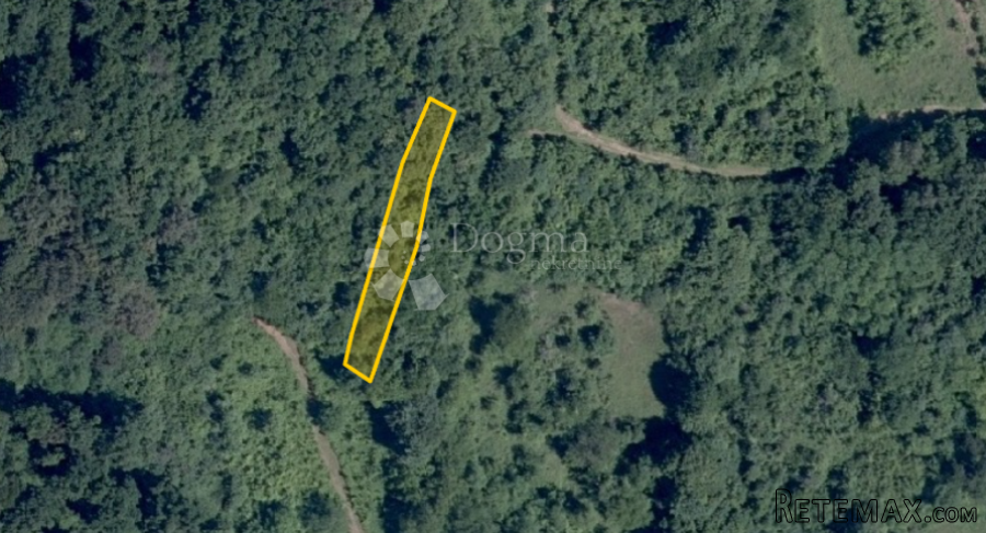 Prodaje se poljoprivredno zemljište 445 m² – obraslo šumom !